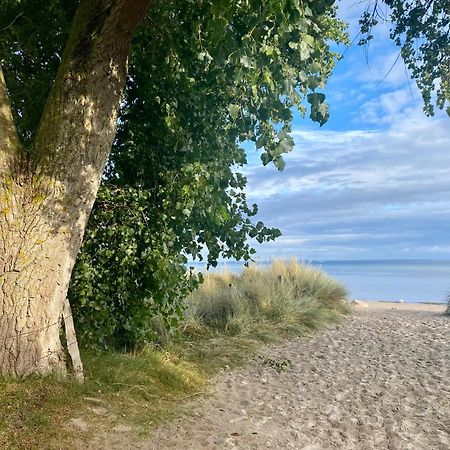 Vila Feriendorf Suedstrand Haus 41 Pelzerhaken Exteriér fotografie