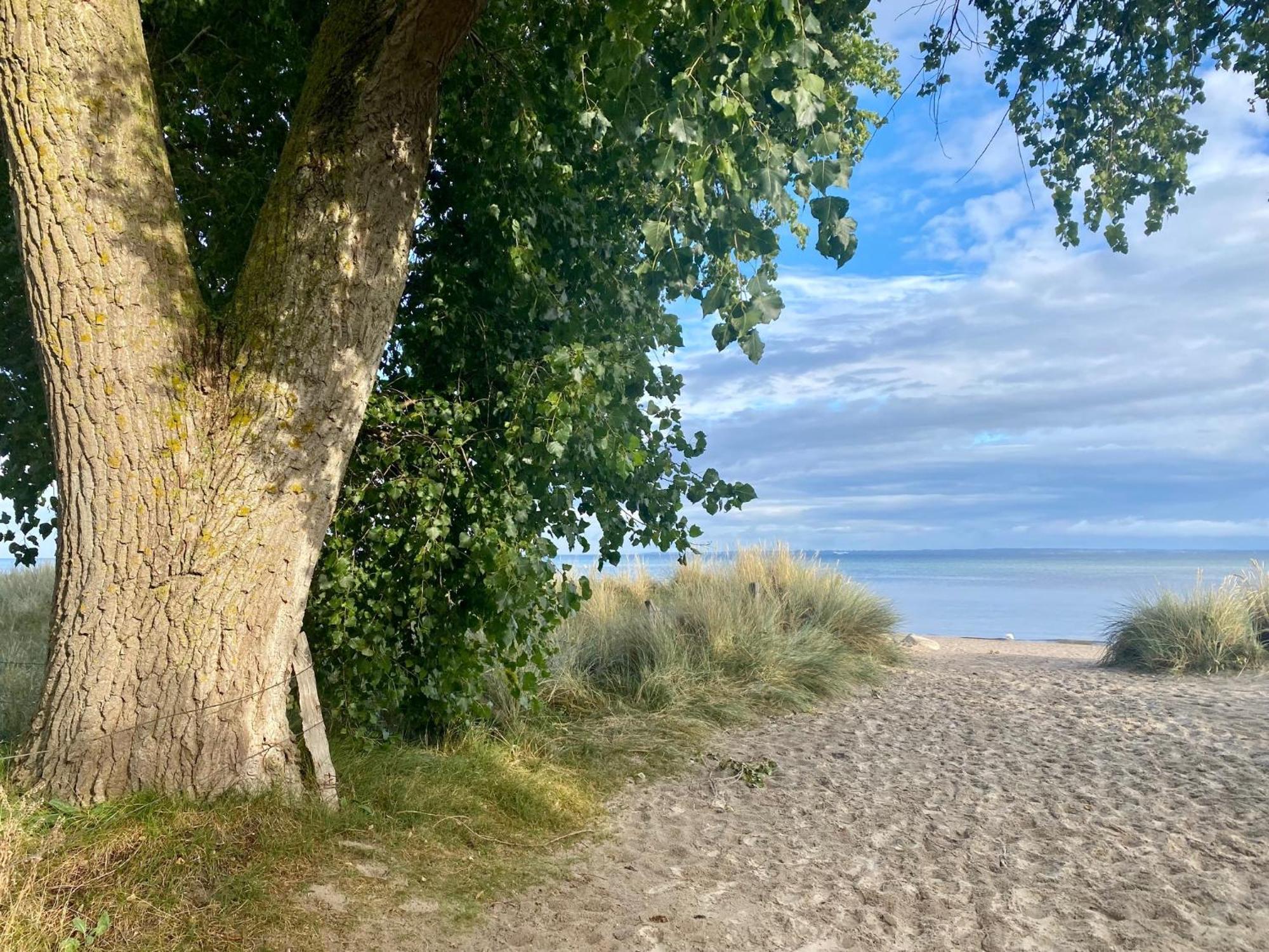 Vila Feriendorf Suedstrand Haus 41 Pelzerhaken Exteriér fotografie